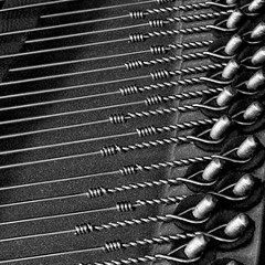 Randy - D-Project Track 2