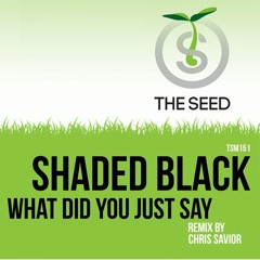 What'd You Just Say  (Original Mix) *OUT NOW ON BEATPORT*