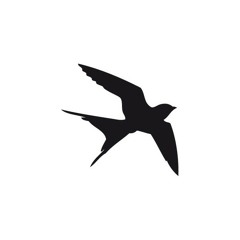 Project (instrumental)