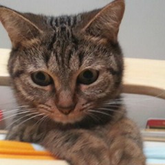 藍又時 - 秘密 cover by Eric CHUNG