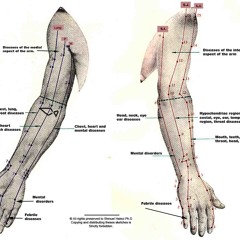 Instant Dissassembly (Parquet Courts Cover) (Demo)