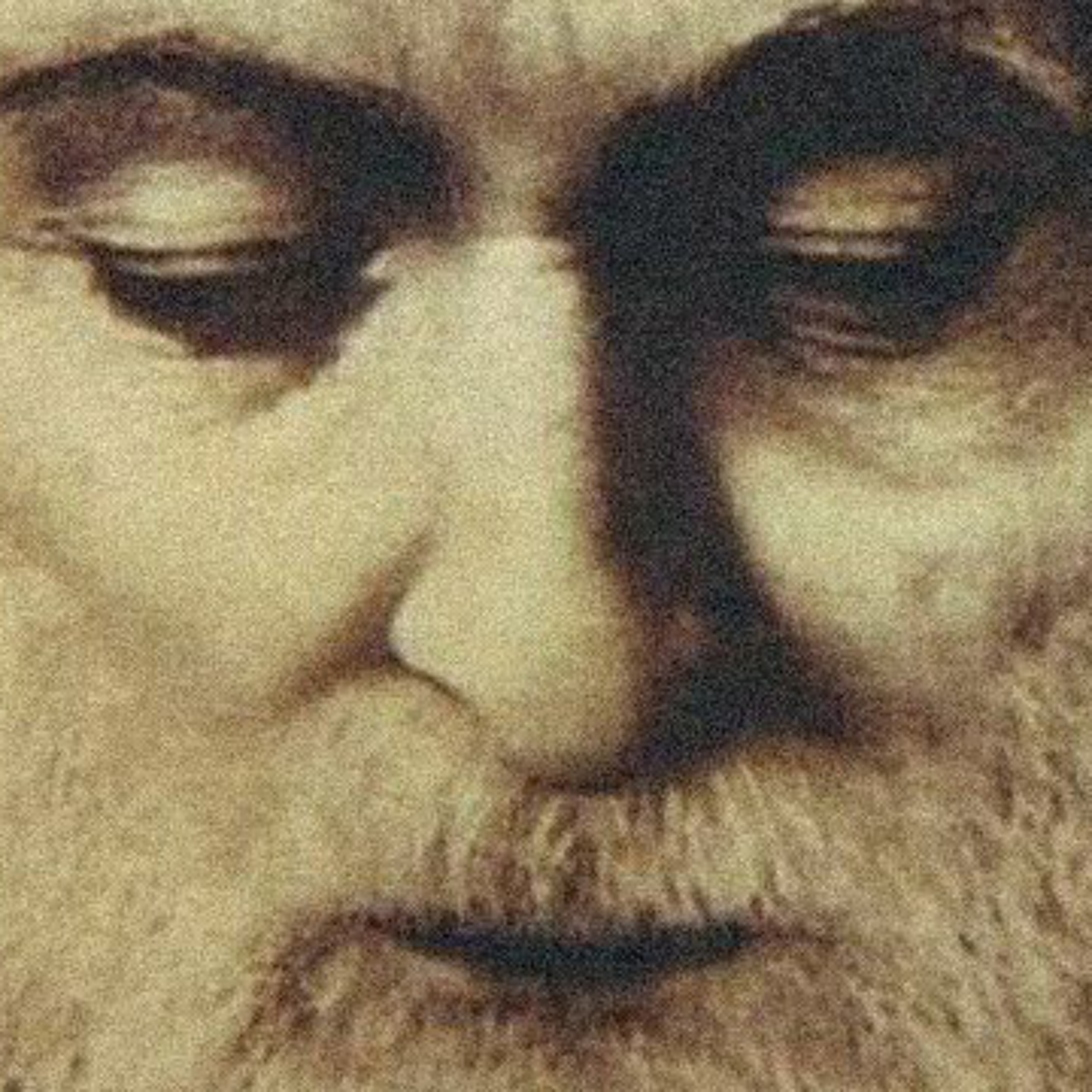 AV.93: A vida extraordinária de São Charbel Makhluf episode artwork