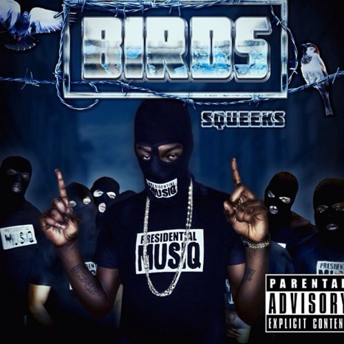 Squeeks - Birdz