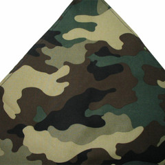 ARMY GANG "COULD HAVE HAD IT ALL"