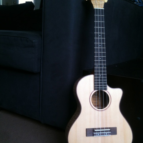 Stream The Last of Us Theme Ukulele by Goeatsomepancakes Listen