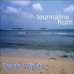 Rain Song [from the album 'Trade Winds']