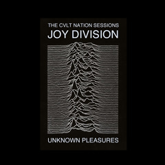 joy division