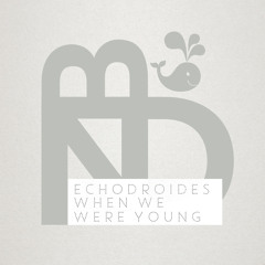 EchoDroides - When We Were Young [FREE DOWNLOAD]