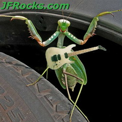 Atheist Mantis - (mantis atheosa)