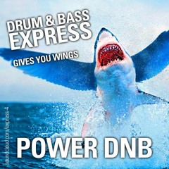 POWER DNB