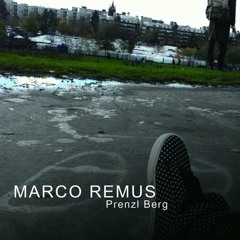 Marco Remus & Q - Ic - Shuffled