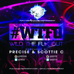 #WTFO - Wild The Fuk Out - EDM CD w/ Great Blends