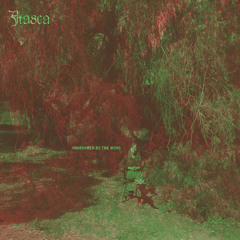 Itasca - Nature's Gift