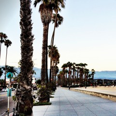 The Santa Barbara Tapes: Vol. 1