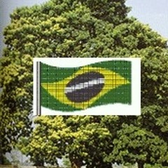 PAU BRASIL (CANTADA) - BRAZIL STICK (WITH LYRICS)