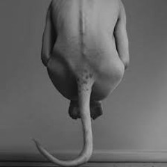 Subheavy Radio Mix - Nokken