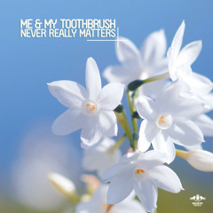 Never Really Matters (Radio Mix) - Me & My Toothbrush