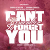 Shakira ft. Rihanna - Can't Remember To Forget You COVER