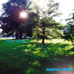 Tree Glow (natures masterpiece)