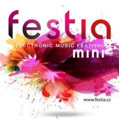 DJ Wulky - MINI Festia Open Air DJ Contest 2014