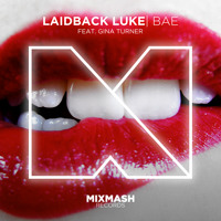 Laidback Luke feat. Gina Turner - Bae (Snip) - Out now!