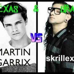 Skrillex Vs Martin Garrix