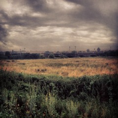 Those Voices (Acoustic Demo)