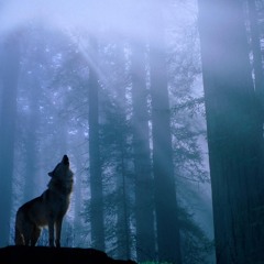 Bedian - Mystic Cave (PRE MASTERED Demo)