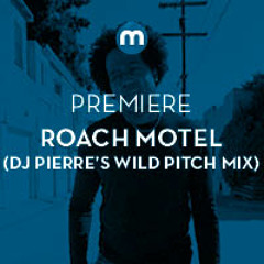 Premiere: Roach Motel 'Wild Luv' (DJ Pierre's Wild PiTcH Mix)