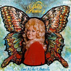 Love Is Like a Butterfly