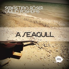SEBASTIAN RÖSER & JULIO POSADAS - A SEAGULL (previa)