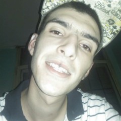 Rap de guia Inmune