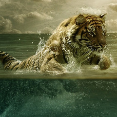 Isaac Maya - Complejo De Amor(Remix)