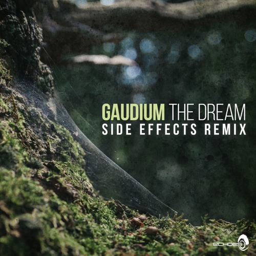 Gaudium - The Dream (Side Effects Remix) [Echoes Records]