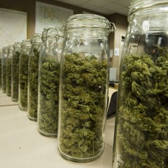 Voltage Ft CR - Tropical Buds [Prod.by Flo]