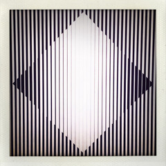 Steve Nash - Degree - DTZ050