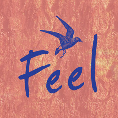 The Kakofoniks @ Feel Festival 2014 (12.07.14)