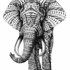 TenWalls - JACK Walking With Elephants (Adam Kelly & Conor Bissett Edit)