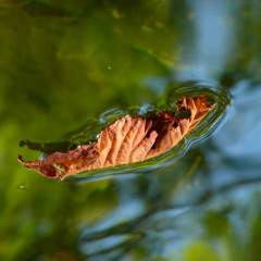 Been Caught Stealing By Jane's Addiction Re - Sung