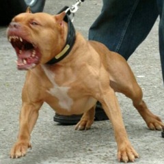 FREESTYLE!!! Slick dolo ft. Izzy