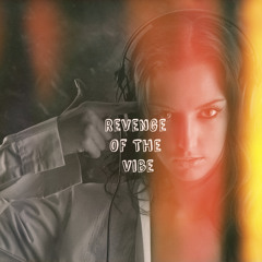 Revenge of the Vibe (Prod. by Papamitrou)