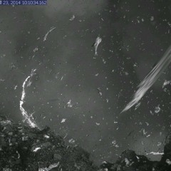 MENE4 VIE140723 44khz