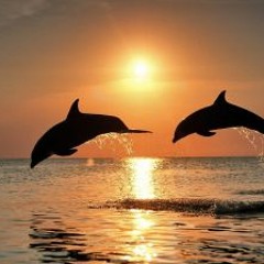 A sunset moment