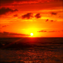 Orange Sunshine