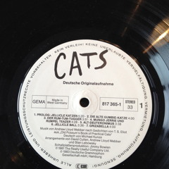 The Cat Podcast 001 - Mara Owl