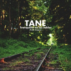 TANE - TRANQUILITO EN LAS TABLAS (PROD. KINJUA)