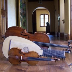 Allegro from Kohaut Lute Concerto in F Major