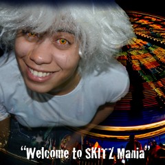 Welcome To Skitz Mania