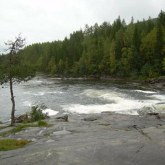 Untamed By Nature (Preview)