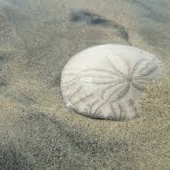 Bring Me Back to Life